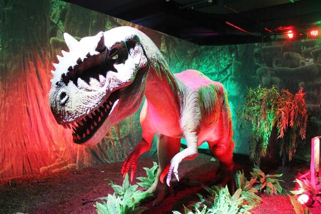 шоу динозавров в москве. шоу динозавров в саратовской области городе балаково в оранже. папа шоу динозавров. папа шоу динозавров. тутокруто шоу динозавров.